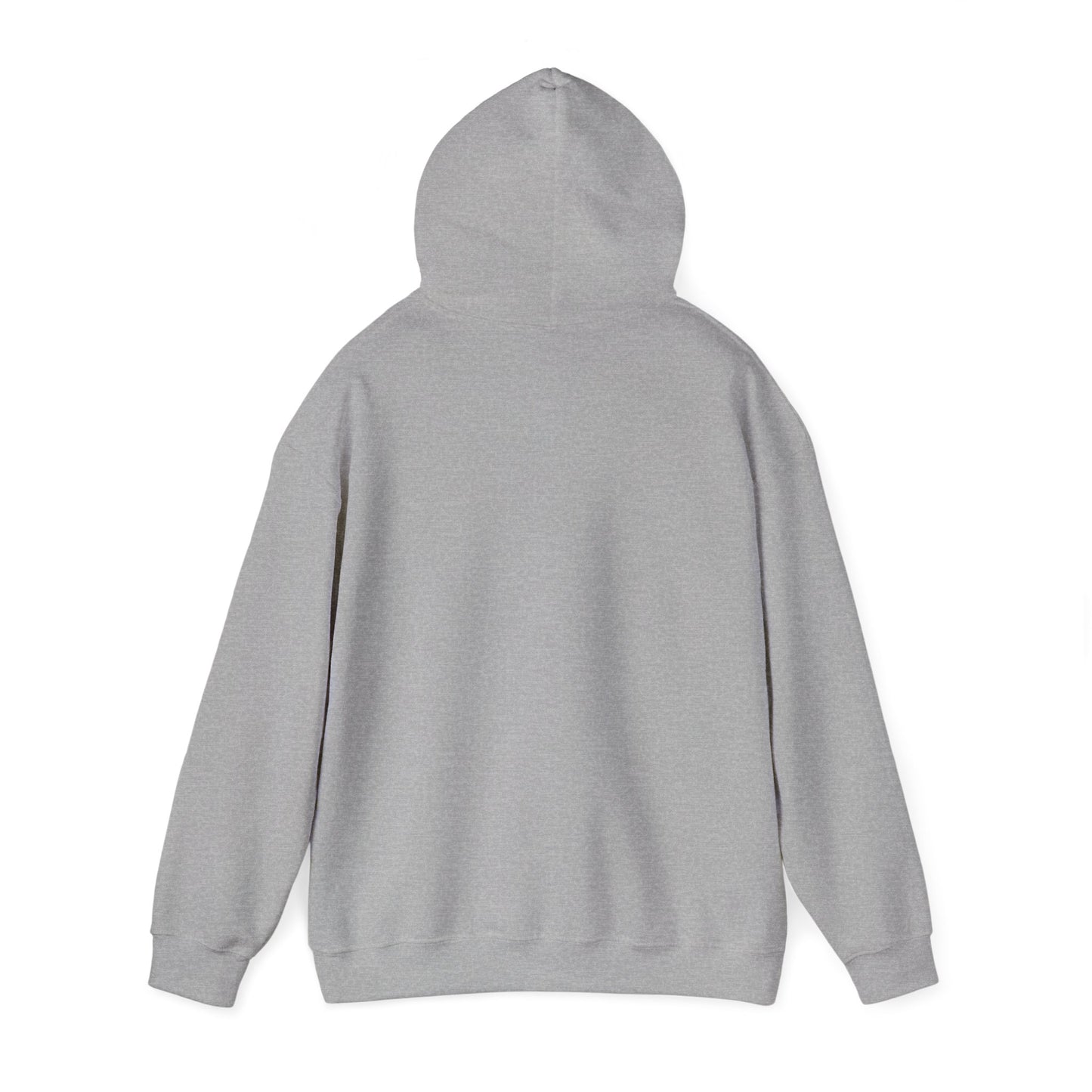 Black Children Are Brilliant Hoodie