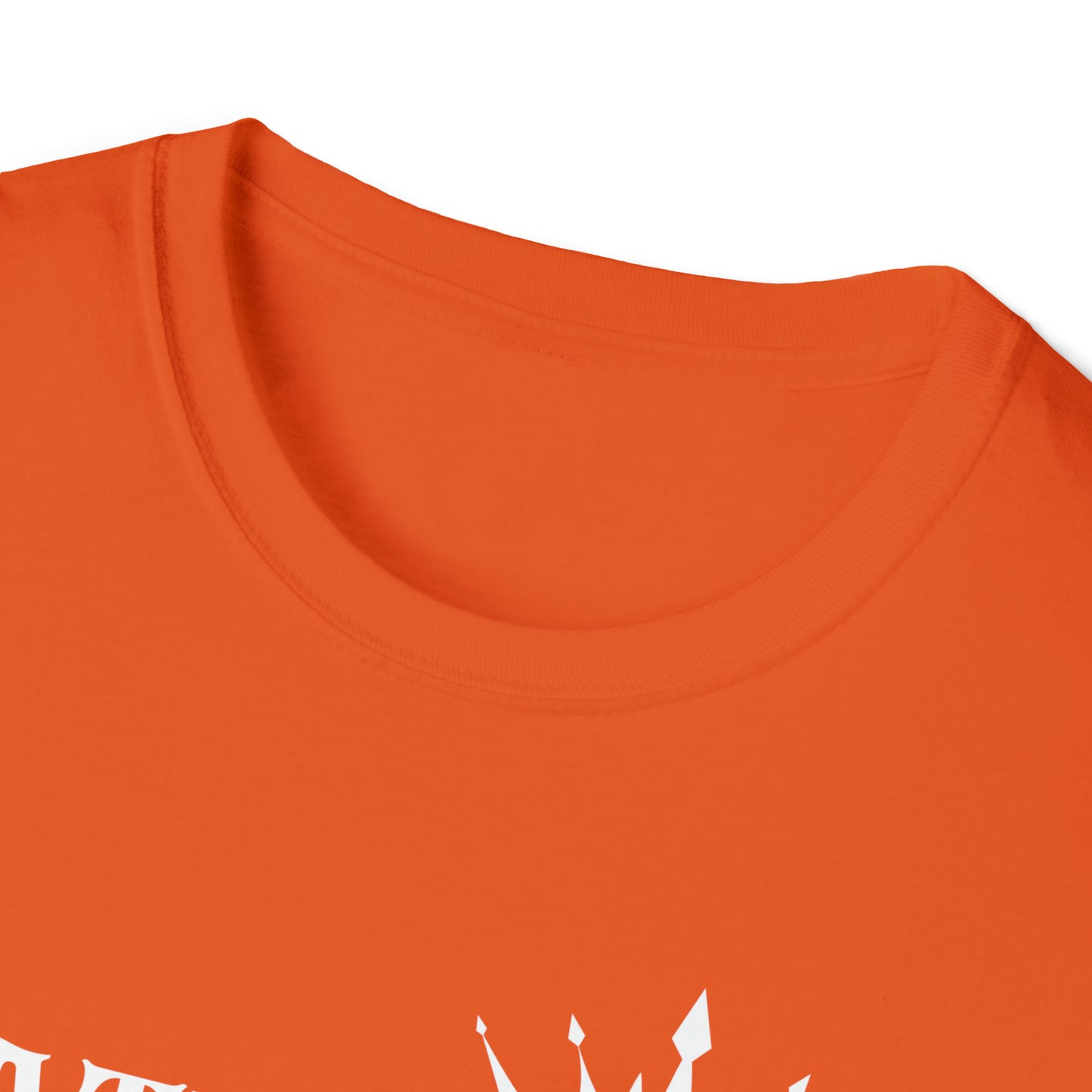 Math Queen Unisex Softstyle T-Shirt