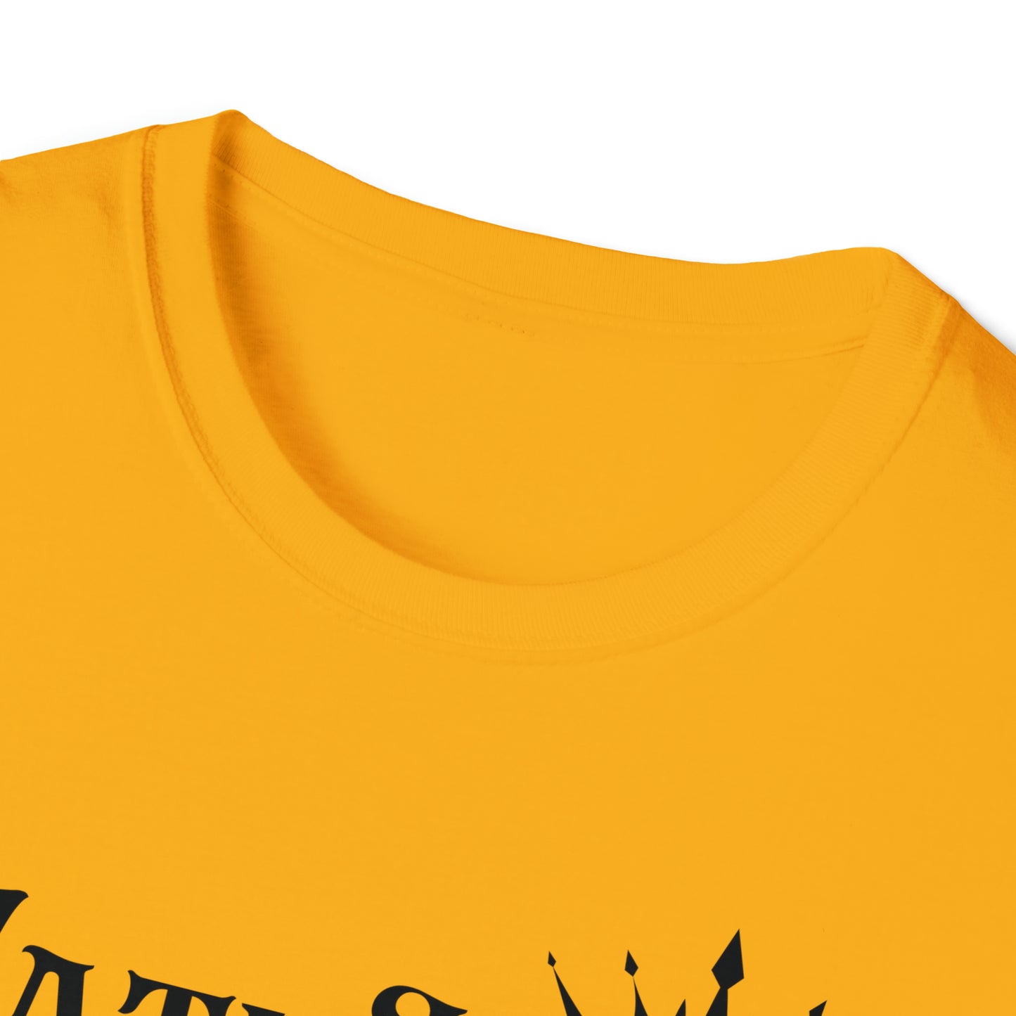 Math King Unisex Softstyle T-Shirt