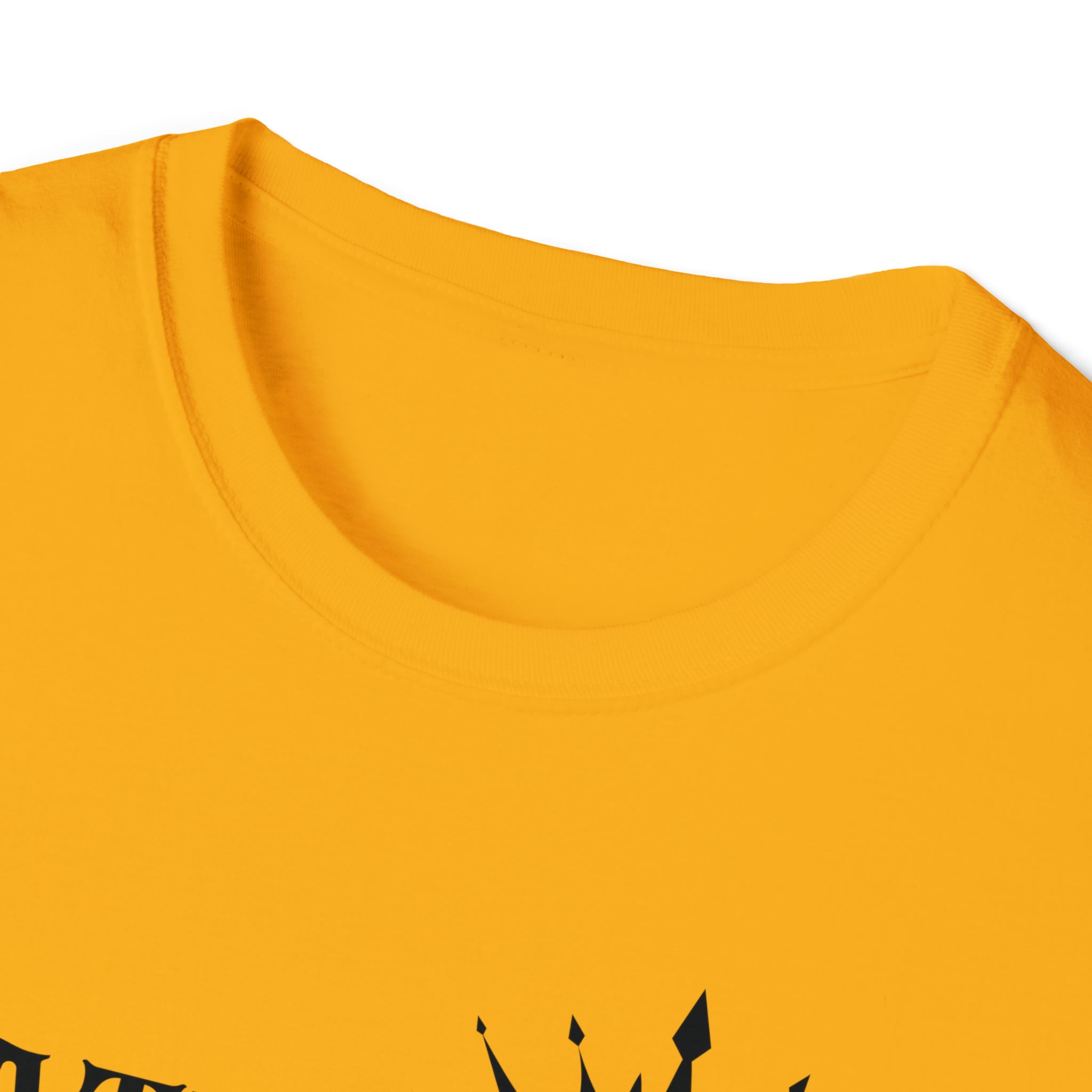 Math Queen Unisex Softstyle T-Shirt