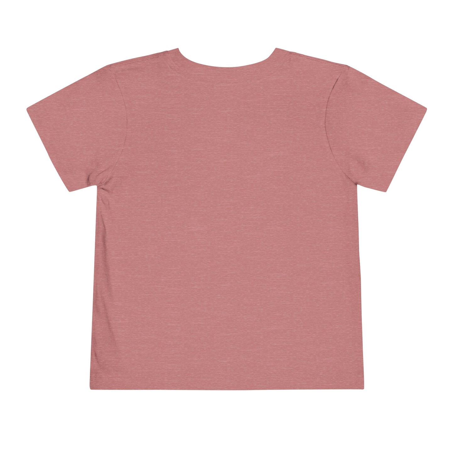 Math Toddler Tee Shirt